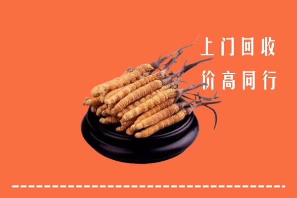 高价求购：古交市回收散虫草